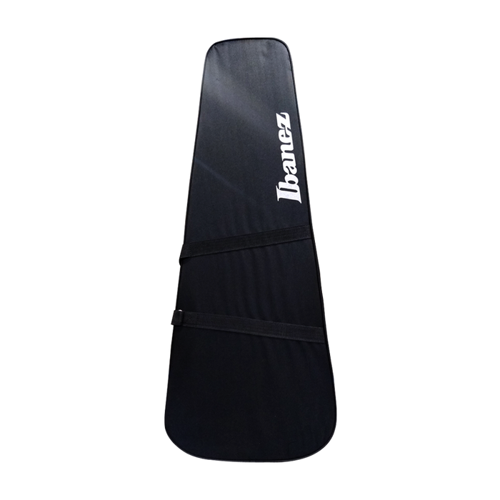 Ibanez F10EG Styrofoam Case