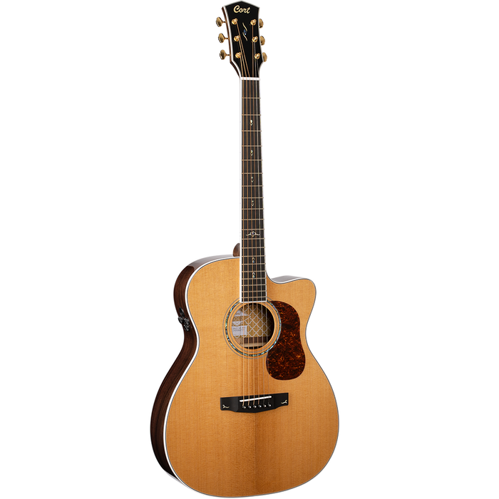 Cort Gold OC8 Semi Acoustic Guitar