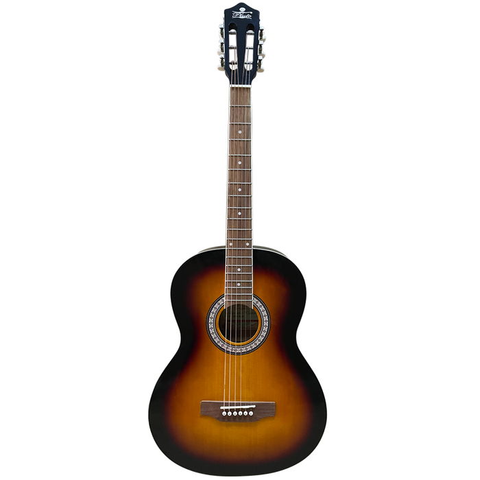 Pluto Acoustic Guitar 201 series Medium HW39-201