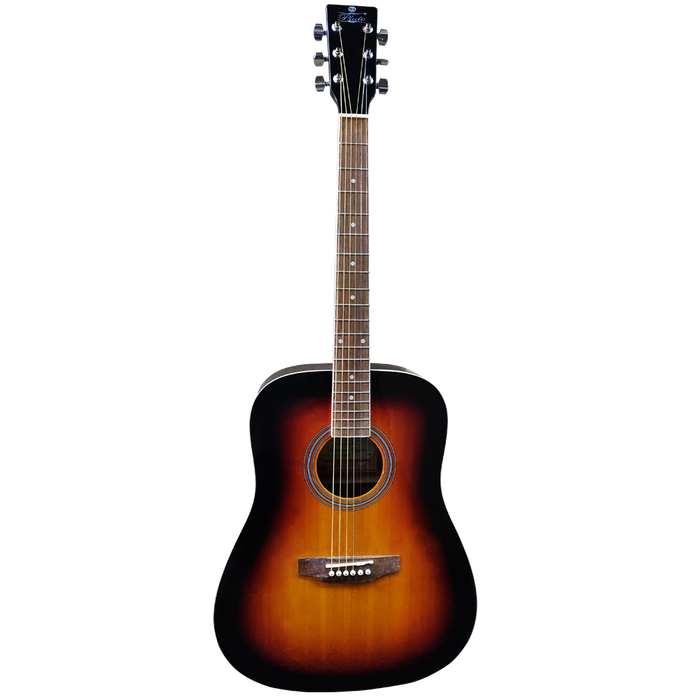 Pluto Semi Acoustic Guitar 201 series Dreadnought W/ Pickup HW41-201P